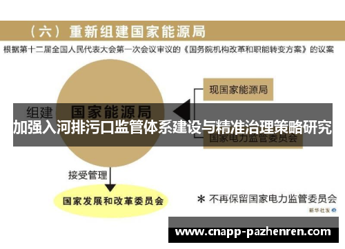 加强入河排污口监管体系建设与精准治理策略研究
