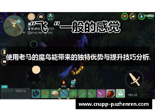 使用老马的魔鸟能带来的独特优势与提升技巧分析