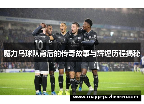 魔力鸟球队背后的传奇故事与辉煌历程揭秘 魔力鸟球队背后的传奇故事与辉煌历程揭秘