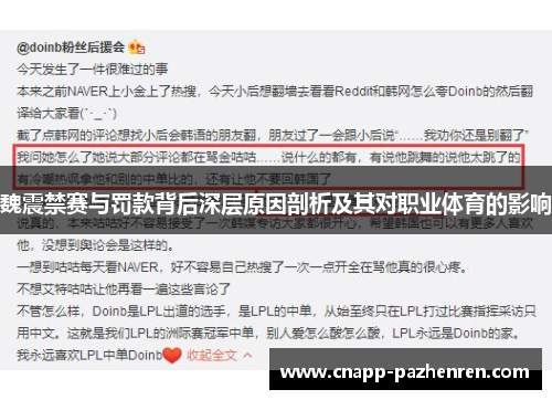 魏震禁赛与罚款背后深层原因剖析及其对职业体育的影响 魏震禁赛与罚款背后深层原因剖析及其对职业体育的影响