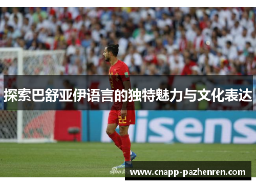 探索巴舒亚伊语言的独特魅力与文化表达