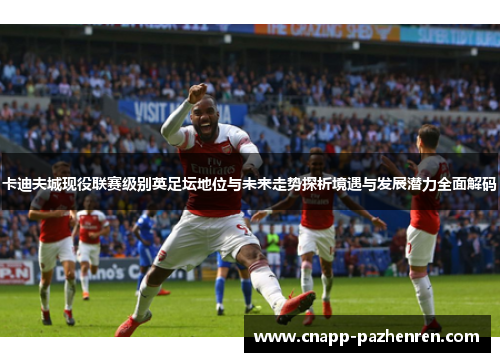 卡迪夫城现役联赛级别英足坛地位与未来走势探析境遇与发展潜力全面解码 卡迪夫城现役联赛级别英足坛地位与未来走势探析境遇与发展潜力全面解码