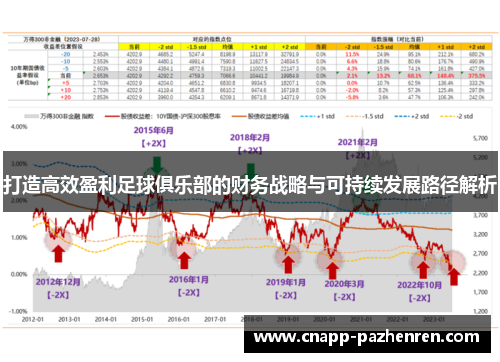 打造高效盈利足球俱乐部的财务战略与可持续发展路径解析